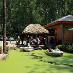 سفر به پارک جنگلی سراوان رشت از بهترین مکان ها برای تفریحات خانوادگی